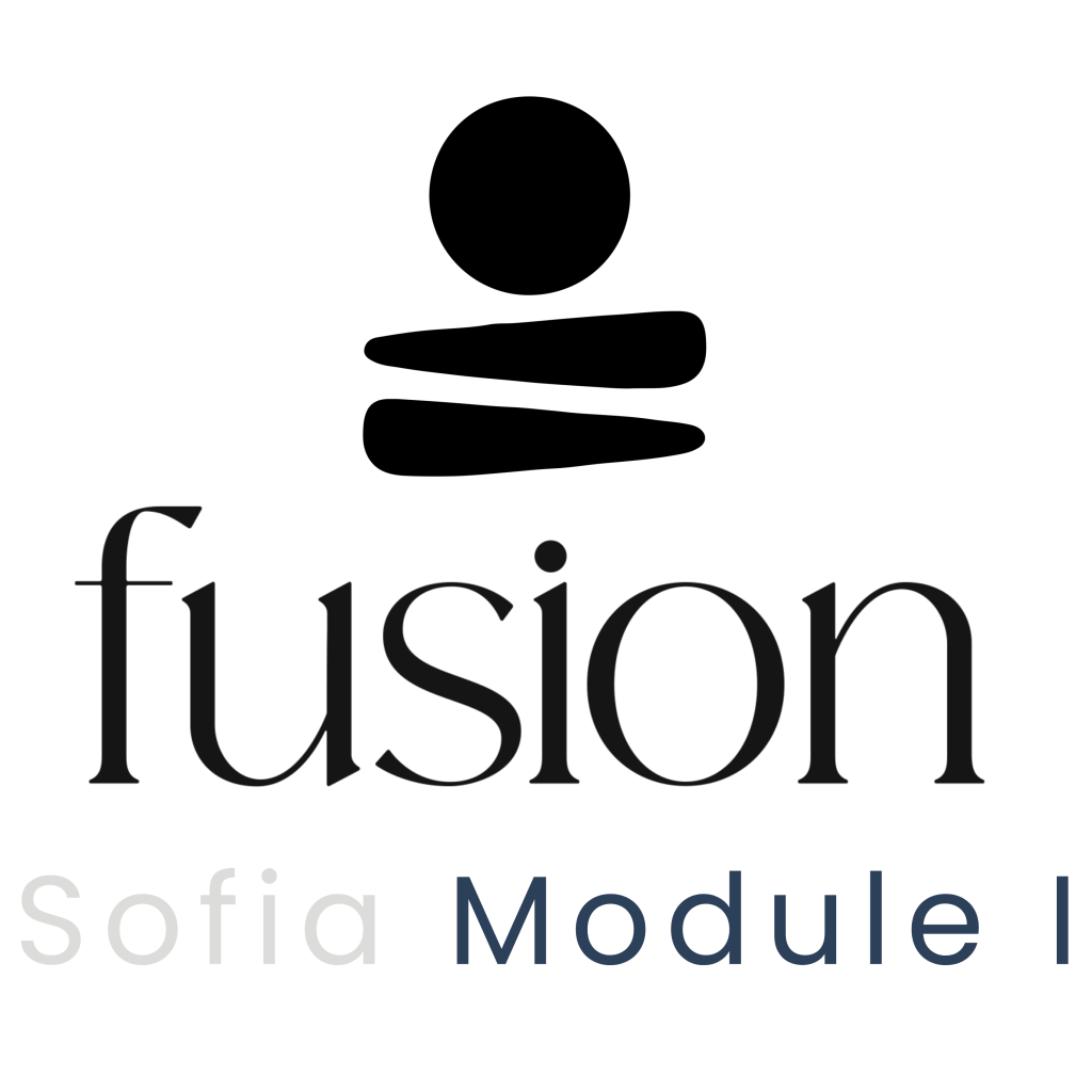 София Fusion Masterclass – Подходът на Слав Маринов - Модул I