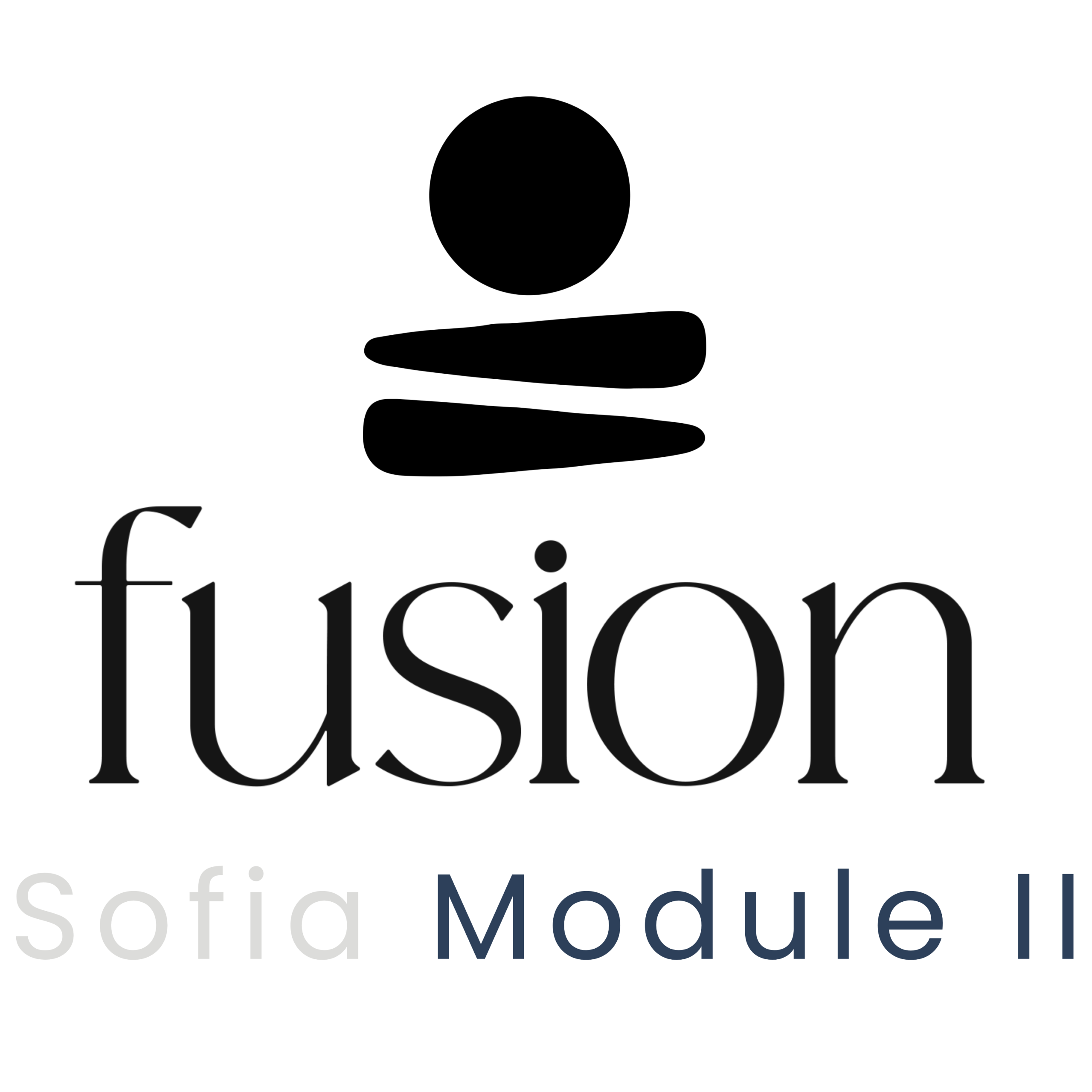 София Fusion Masterclass – Подходът на Слав Маринов - Модул II